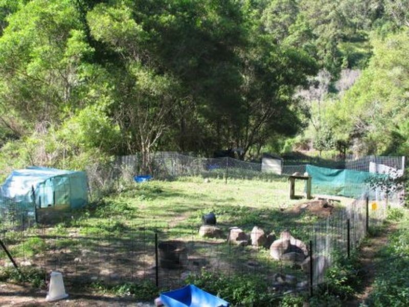 58 Ninderry Slopes Road, Ninderry QLD 4561