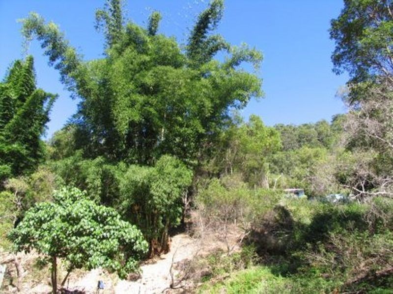 58 Ninderry Slopes Road, Ninderry QLD 4561