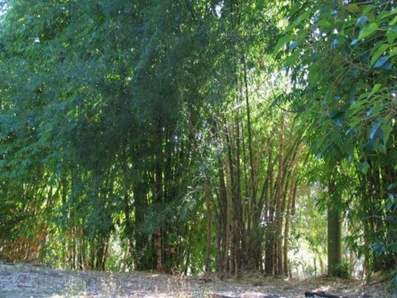 58 Ninderry Slopes Road, Ninderry QLD 4561