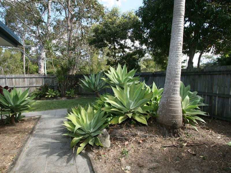 2 Elkhorn Drive, Tewantin QLD 4565