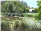 3 Springbrook Grove, Buderim QLD 4556