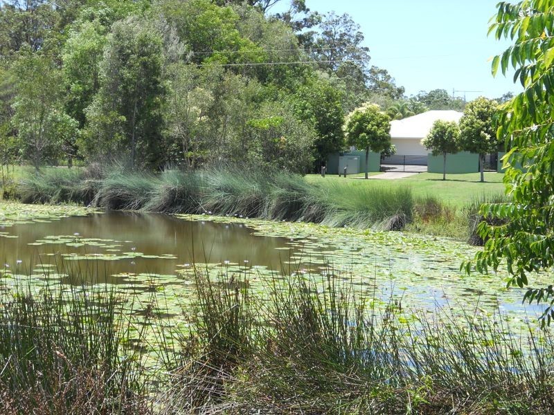 3 Springbrook Grove, Buderim QLD 4556