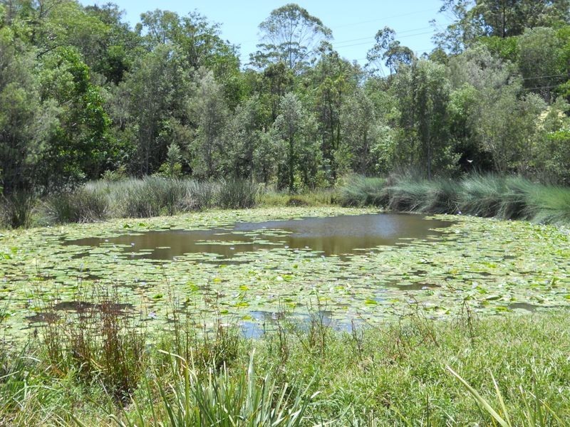 3 Springbrook Grove, Buderim QLD 4556