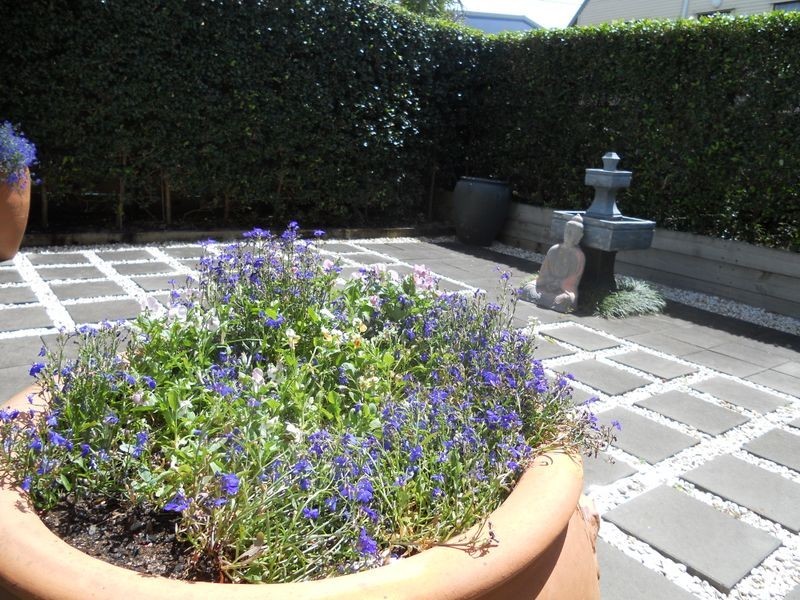 2/244 David Low Way, Peregian Beach QLD 4573