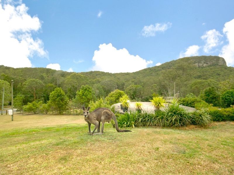 310 Ninderry Road, Ninderry QLD 4561
