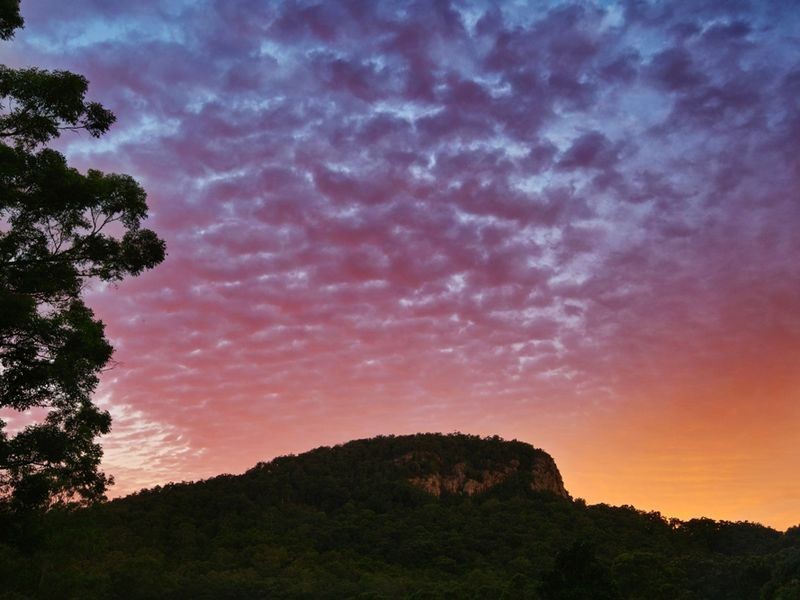 310 Ninderry Road, Ninderry QLD 4561