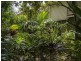 11 Oriole Avenue, Peregian Beach QLD 4573