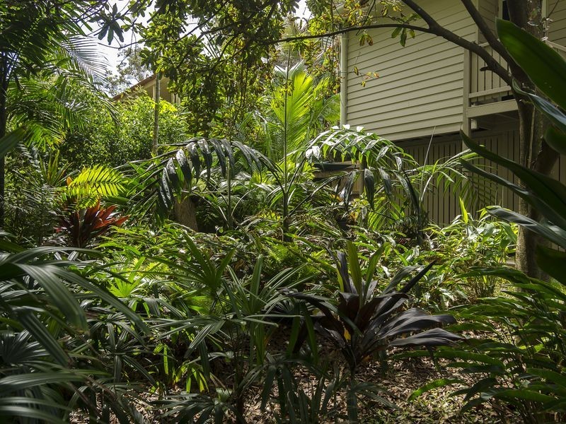 11 Oriole Avenue, Peregian Beach QLD 4573
