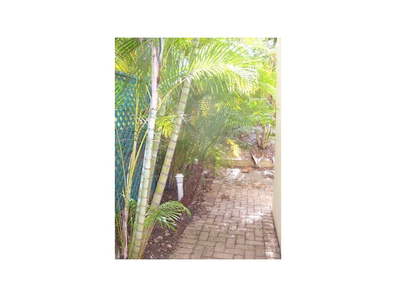 1/29 Shearwater Street – SEADRIFT 1, Peregian Beach QLD 4573