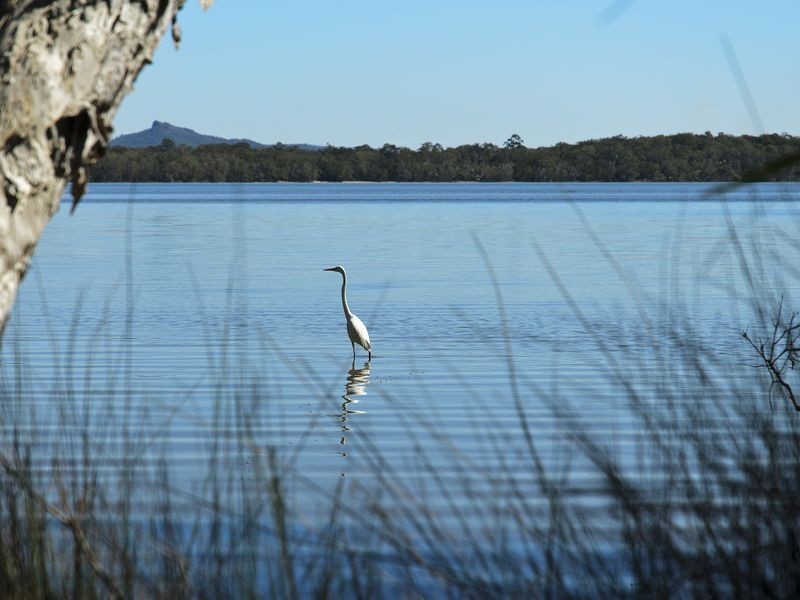 105 Lakewood Drive, Peregian Beach QLD 4573