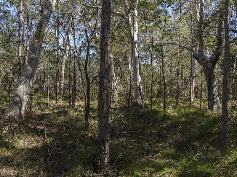 105 Lakewood Drive, Peregian Beach QLD 4573