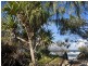 17 Petrel Street, Peregian Beach QLD 4573