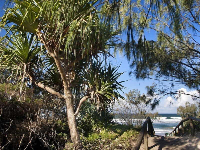 17 Petrel Street, Peregian Beach QLD 4573