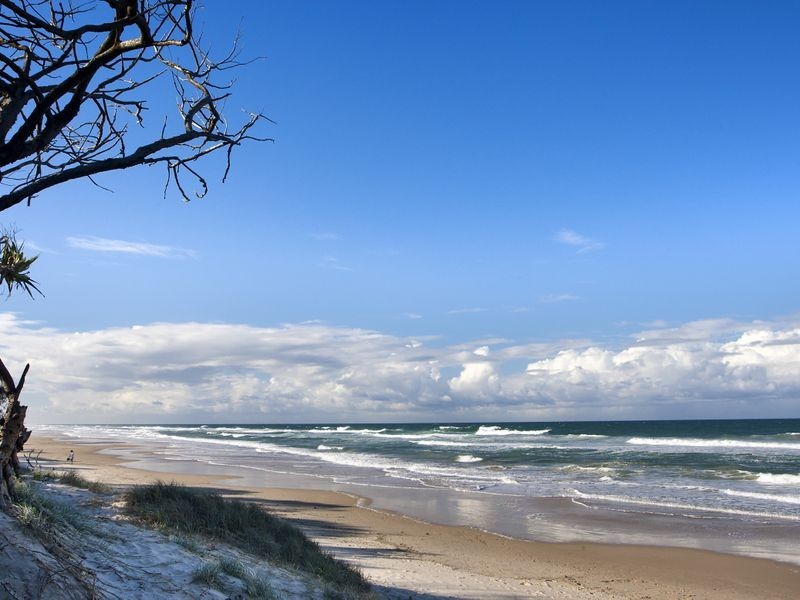 17 Petrel Street, Peregian Beach QLD 4573