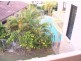 5/28 Peregian Esplanade, GALLERIES, Peregian Beach QLD 4573