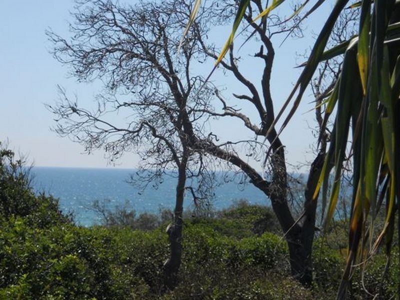 4/390 David Low Way, Peregian Beach QLD 4573