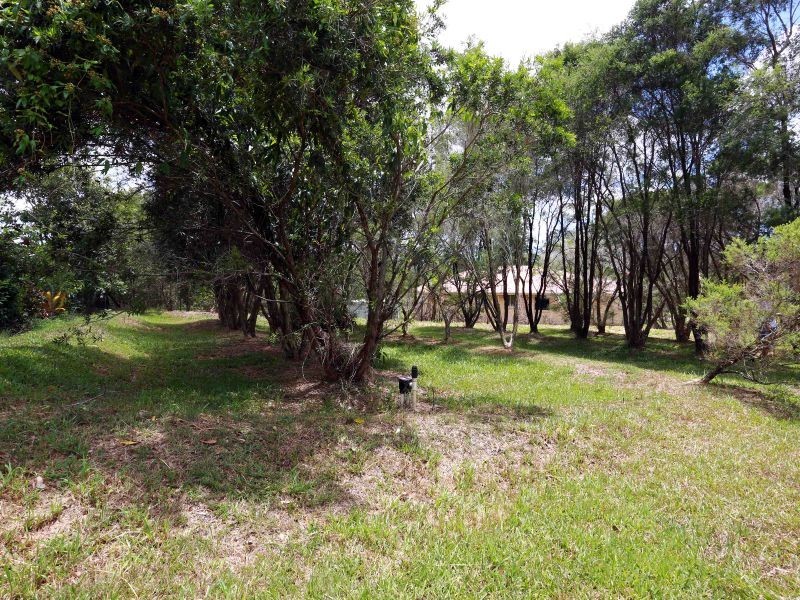 41 Nandroya Road, Cooroy QLD 4563