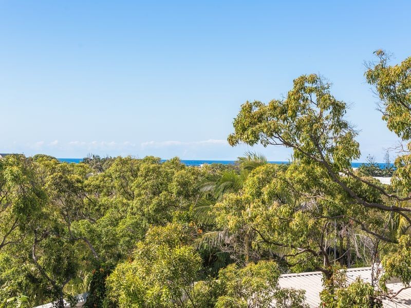 118 Persimmon Drive, Peregian Beach QLD 4573