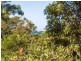 118 Persimmon Drive, Peregian Beach QLD 4573