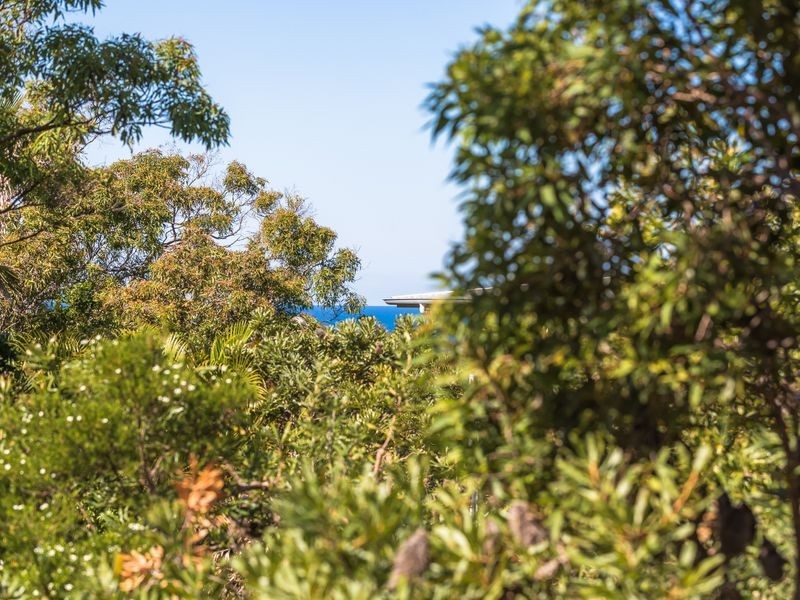 118 Persimmon Drive, Peregian Beach QLD 4573