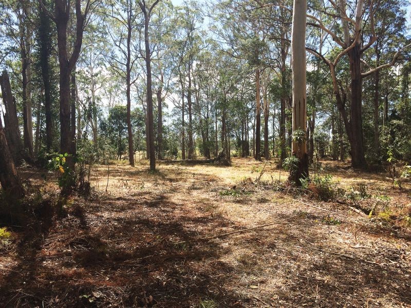154 Redwood Road, Doonan QLD 4562