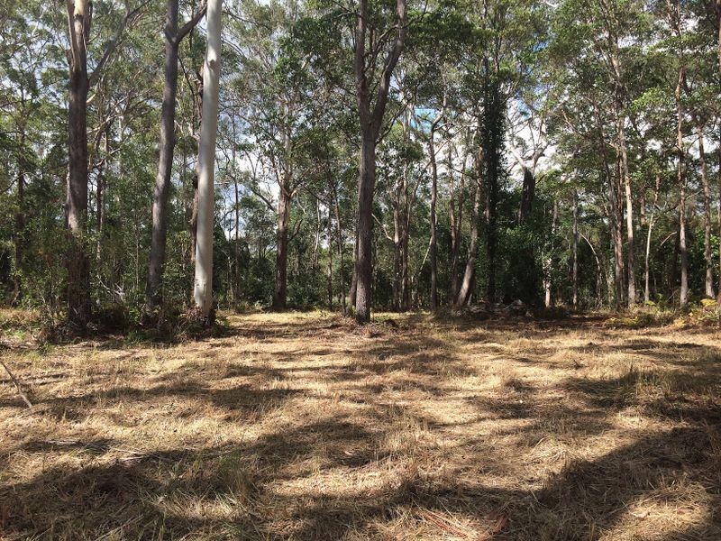 154 Redwood Road, Doonan QLD 4562