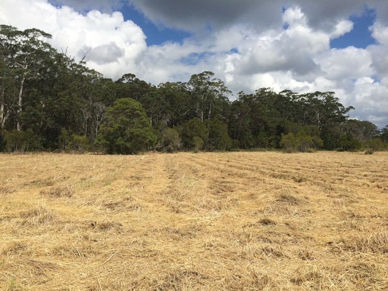 154 Redwood Road, Doonan QLD 4562