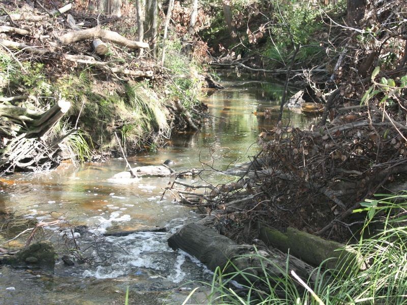 824 Eumundi Noosa Road, Doonan QLD 4562