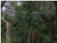 31 Spoonbill Street, Peregian Beach QLD 4573