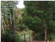 31 Spoonbill Street, Peregian Beach QLD 4573
