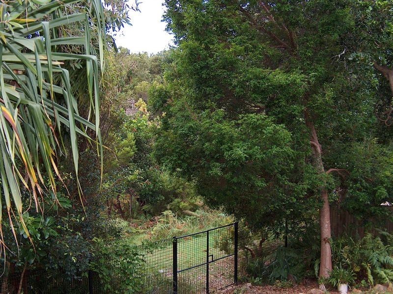 31 Spoonbill Street, Peregian Beach QLD 4573