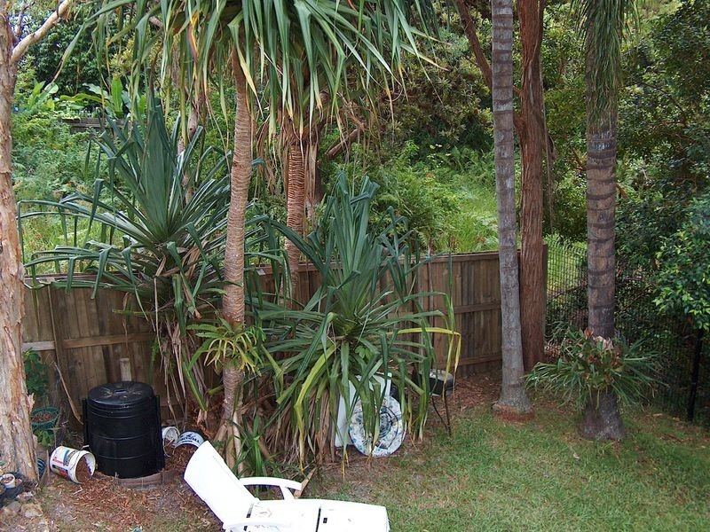 31 Spoonbill Street, Peregian Beach QLD 4573