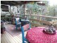 31 Spoonbill Street, Peregian Beach QLD 4573