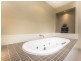 14 Cobblestone Place, Peregian Springs QLD 4573