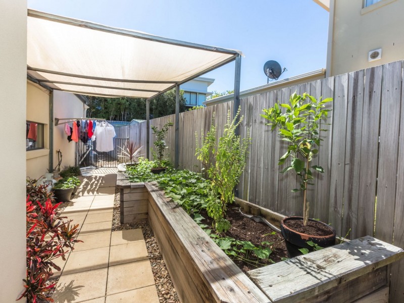 14 Cobblestone Place, Peregian Springs QLD 4573