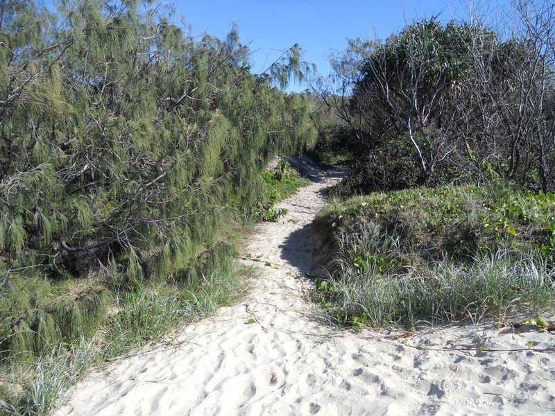 3 Mahogany Drive, Marcus Beach QLD 4573