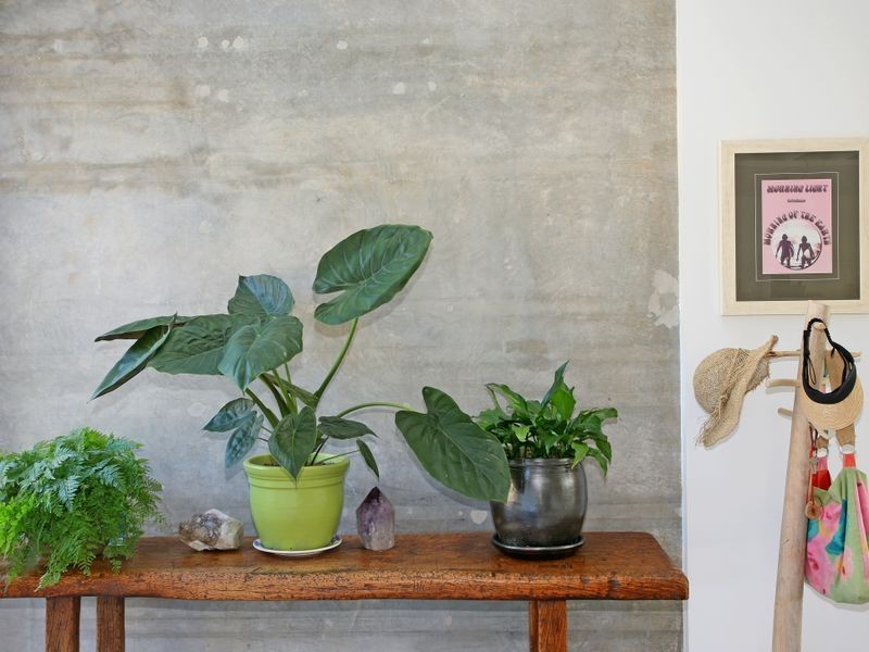 59 Kestrel Crescent, Peregian Beach QLD 4573