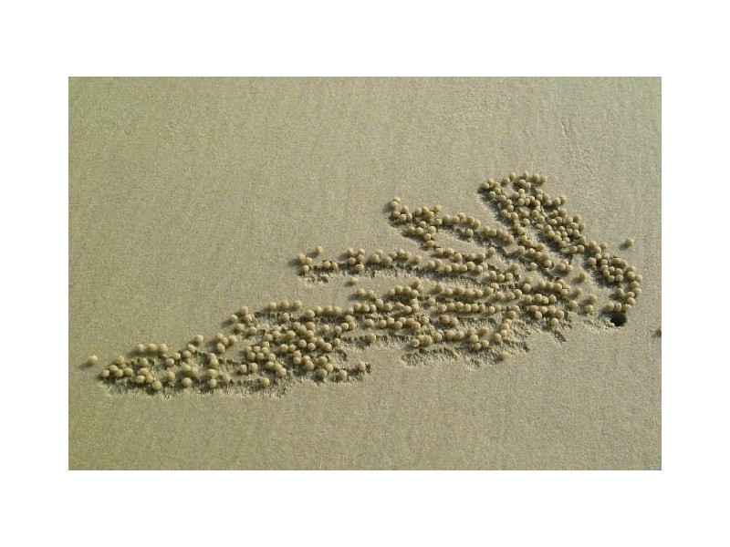 2/18 Shearwater Street – NERISSA 2, Peregian Beach QLD 4573