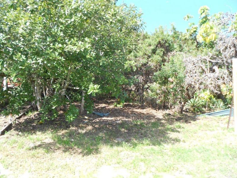 272 David Low Way, Peregian Beach QLD 4573