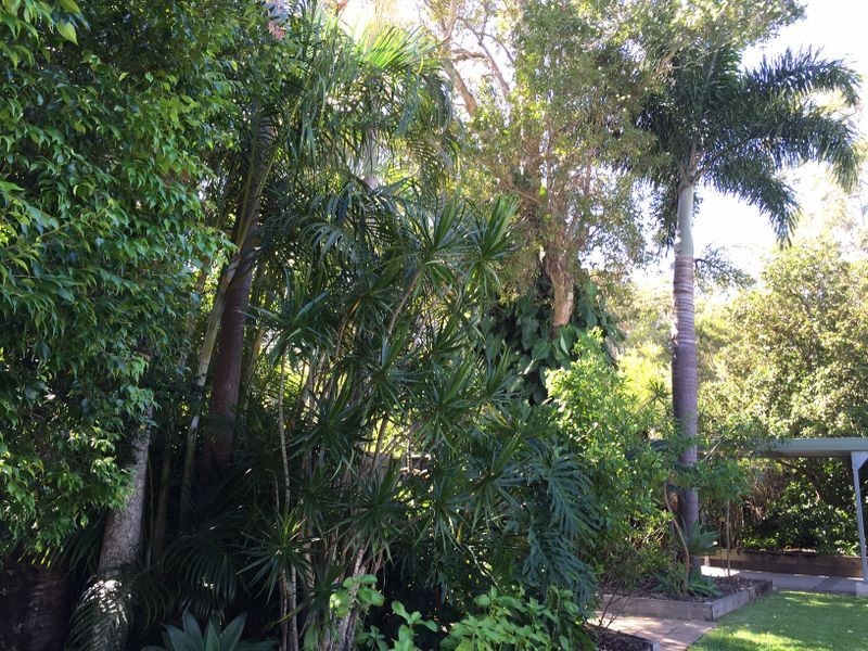 1 Juron Street, Noosaville QLD 4566