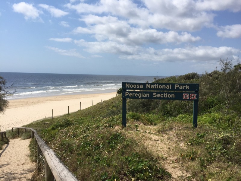 8 Lorikeet Drive, Peregian Beach QLD 4573