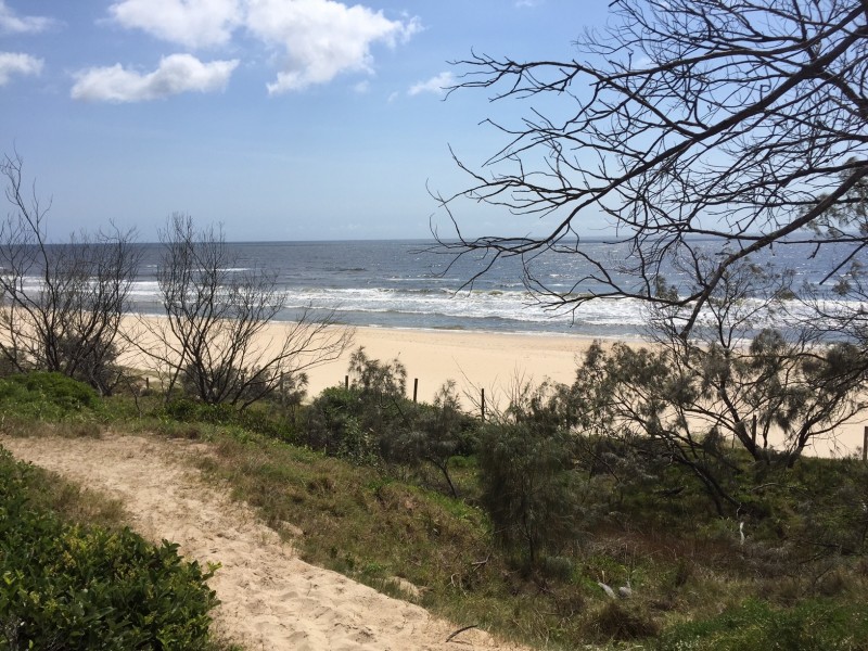 8 Lorikeet Drive, Peregian Beach QLD 4573