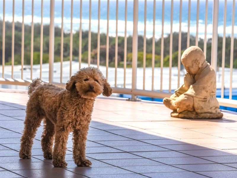 5/47 Lorikeet Drive, Peregian Beach QLD 4573