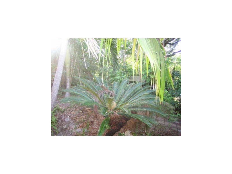 48 Mahogany Drive, Marcus Beach QLD 4573