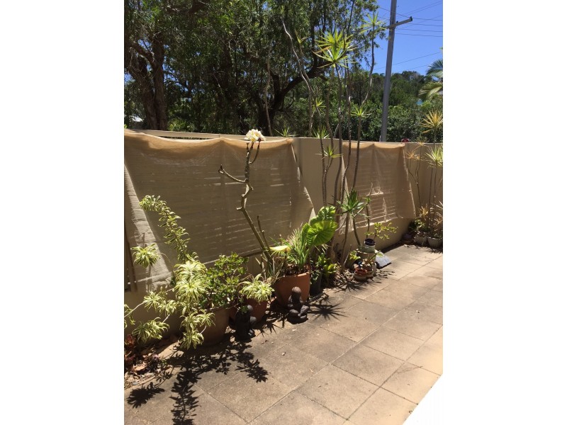 1/279 David Low Way, Peregian Beach QLD 4573