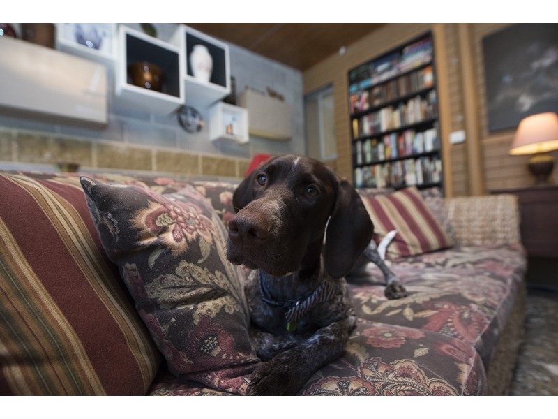 Unit 2/3 Oriole Avenue, Peregian Beach QLD 4573