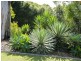 41 Lake Vista Drive, Peregian Beach QLD 4573