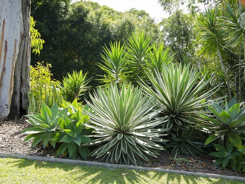 41 Lake Vista Drive, Peregian Beach QLD 4573