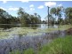 Murrumba Downs QLD 4503