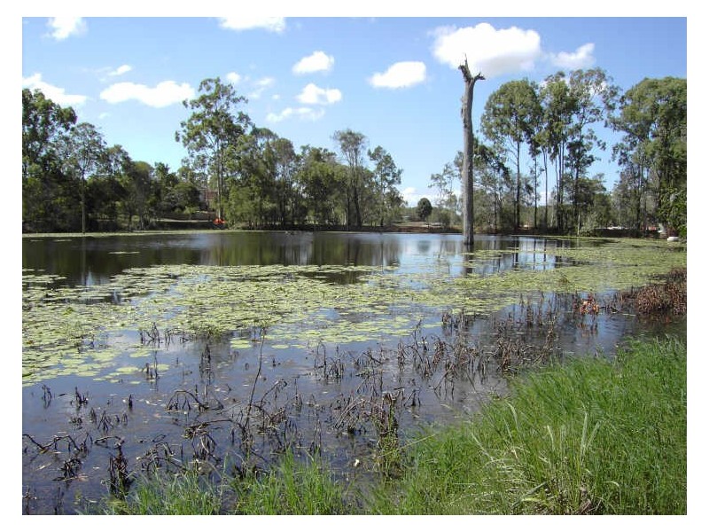 Murrumba Downs QLD 4503